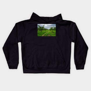 Plum trees orchard Kids Hoodie